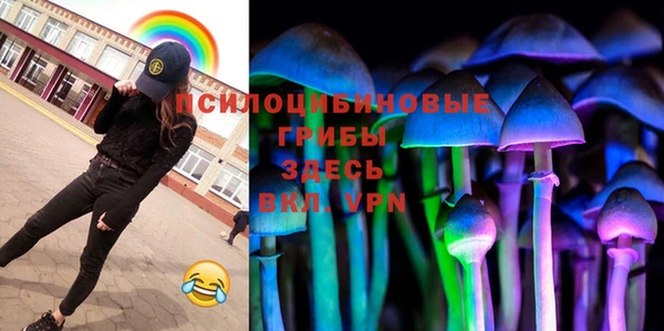мет Алексин