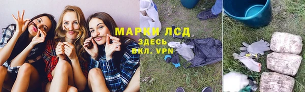 мет Алексин