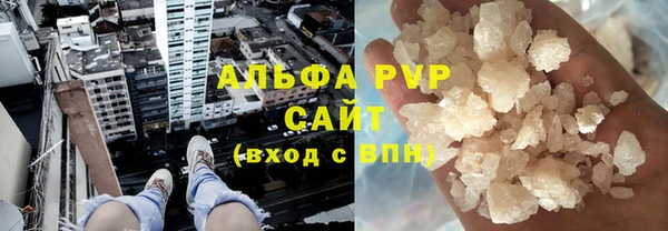 мет Алексин