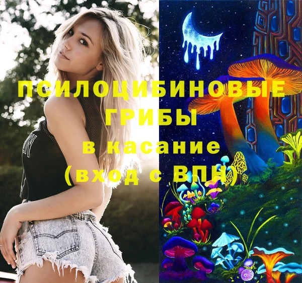 мет Алексин